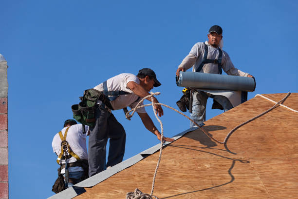 Best Storm Damage Roof Repair  in Vista, CA